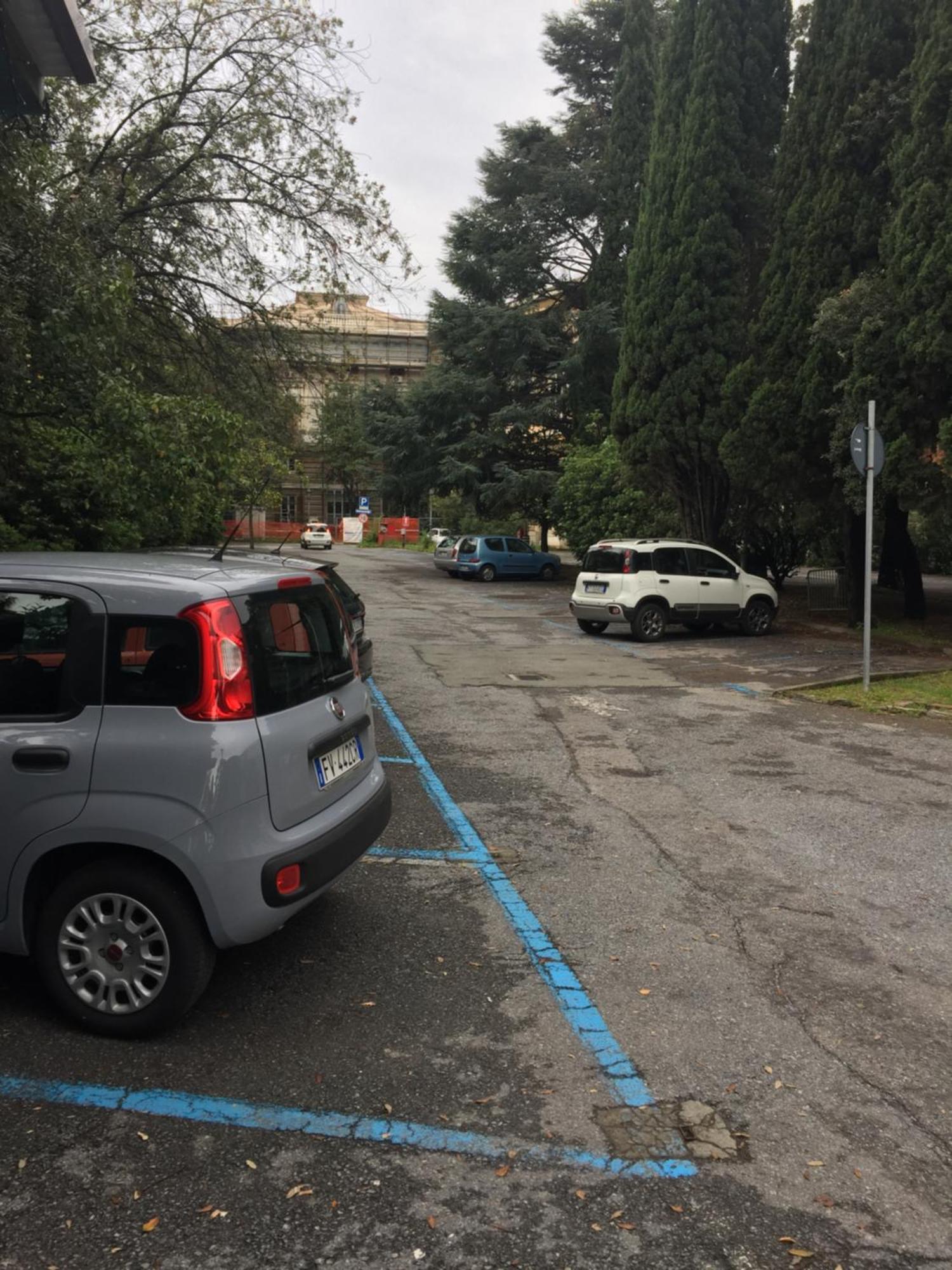 Appartamento In Centro Zona Fiera,Davanti Al Galliera Genova Eksteriør billede